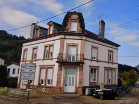 vente maison 16 pièces 247 m² senones (88210)