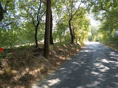 vente terrain 1015 m² à saix (81710)  69 000 €