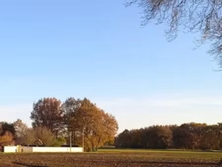 vente terrain 680 m² à saint-romain-de-benet (17600)  95 000 €