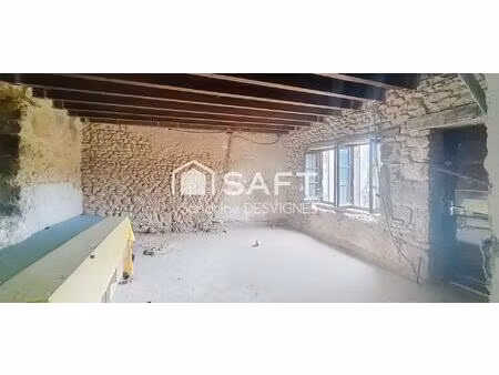 maison en pierres 138 m2 habitable avec jardin