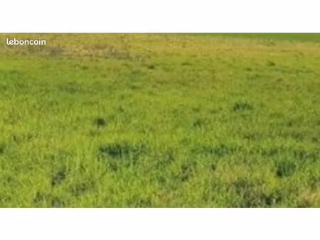 terrain à louer proche gare et a13