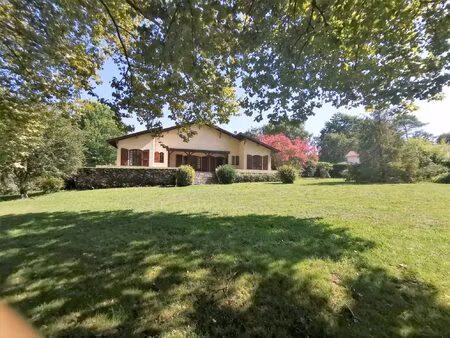 maison à vendre meilhan