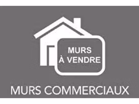 vierzon forges - murs commerciaux 460 m² - avec locataires loués