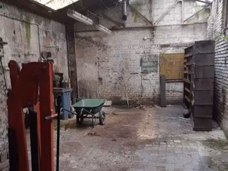 garage - loft - jardin