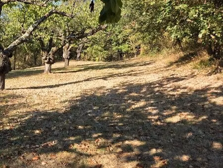 terrain constructible