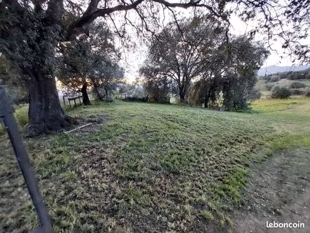 terrain bastelicaccia