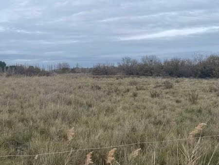 coursan terrain 2500 m2