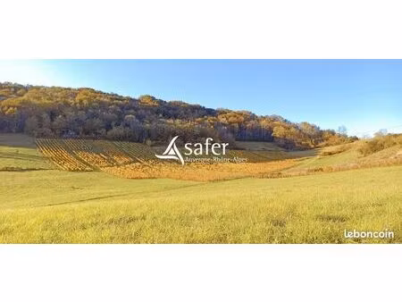 terrain 49068 m² saint-martin-du-mont