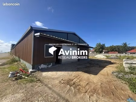 local 300 m² petit-bourg