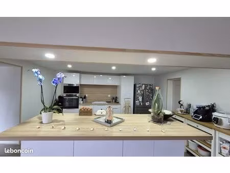 maison 7 pièces 256 m²