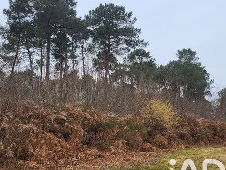 terrain 4400 m² bazas