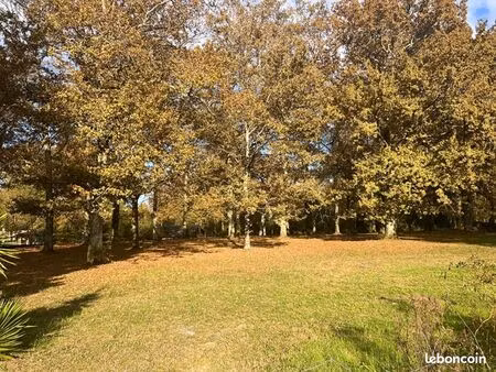 terrain 3 600 m² bazas