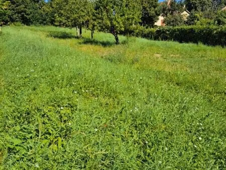 terrain 1 240 m² cordeac