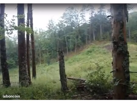 terrain forestier de 5200m² à belvis (aude)