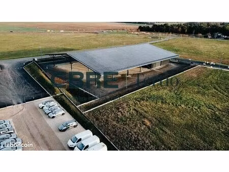 local d'activité 300 m²