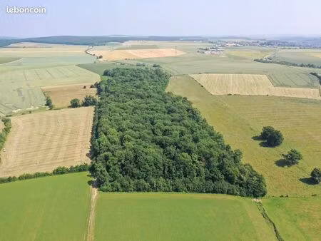 forêt de feuillus d’un seul tenant et de belle qualité