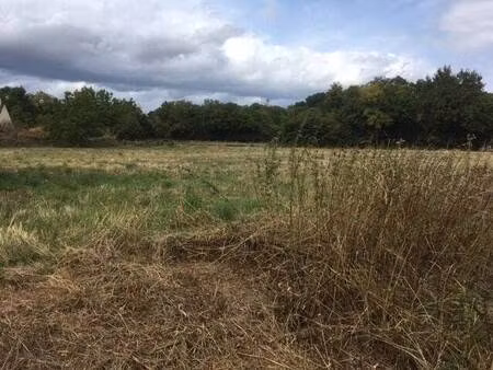terrain constructible à vendre