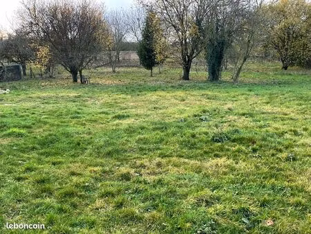 terrain constructible