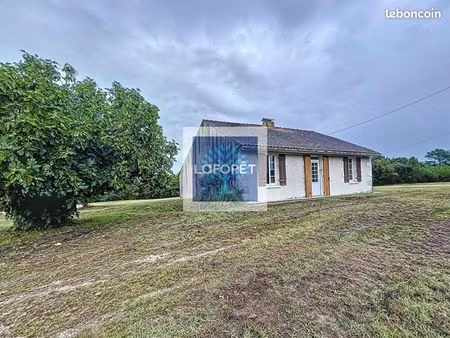 maison 3 pièces 55 m²