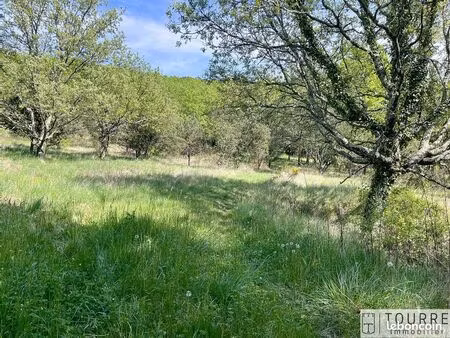 terrain 6856 m² lagorce