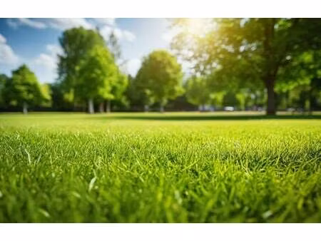 terrain constructible viabilisé à vendre