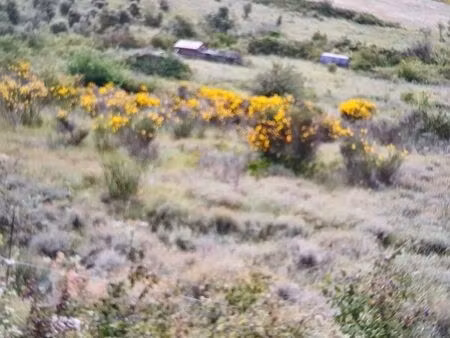 terrain de loisir ou toute culture