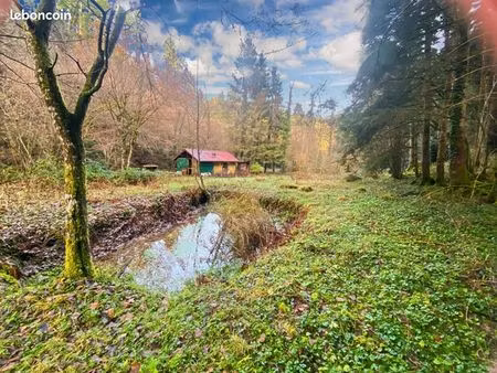 terrain 3 197 m² willer sur thur