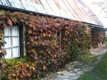 maison 3 pieces 65 m2