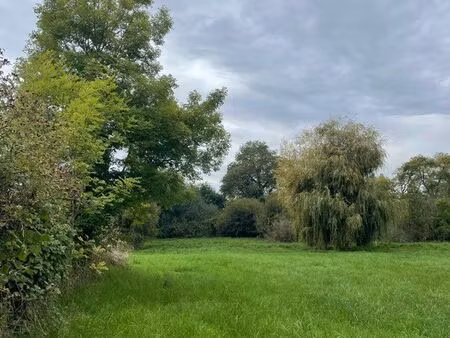 terrain et tourbière