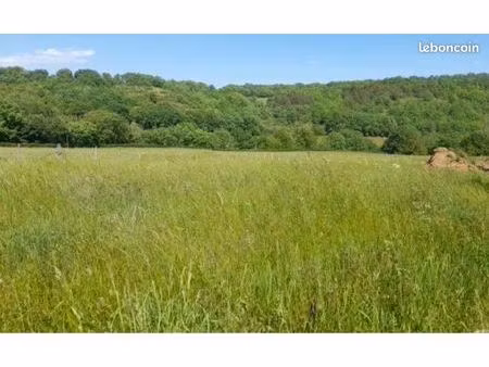 vente terrain constructible 1175 m²