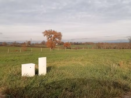 terrain constructible