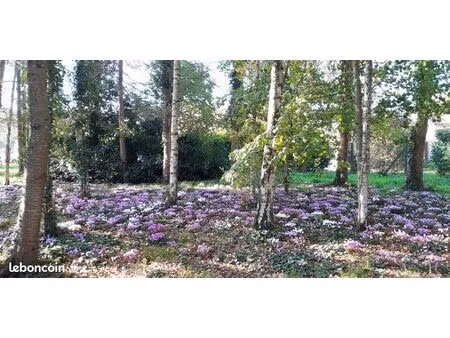 magnifique terrain constructible