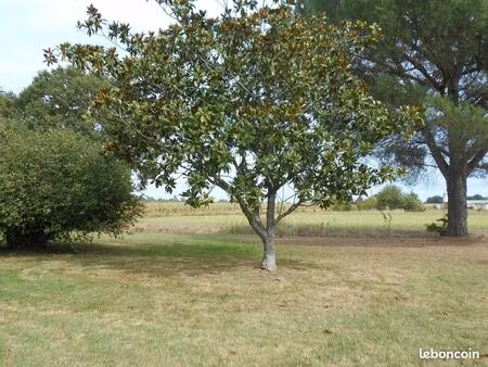 maison 250m2 au calme