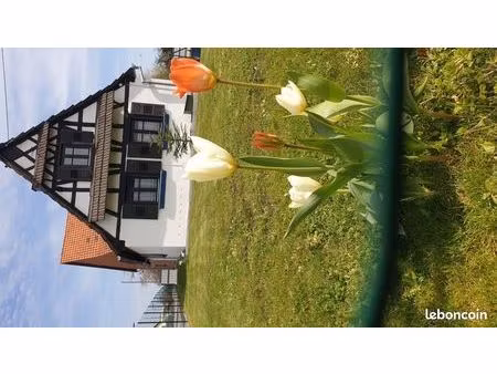 jolie maison à niederroedern