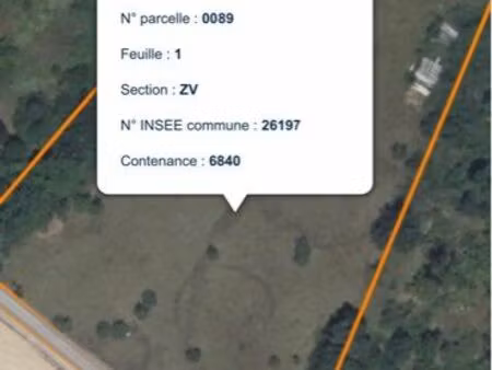 rare dans le secteur