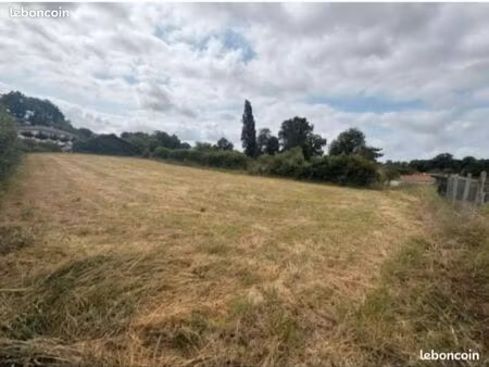 terrain constructible