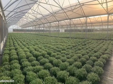 terrain agricole  serres horticoles
