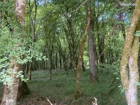 recherche location-vente 150 000