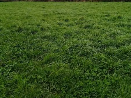 terrain constructible