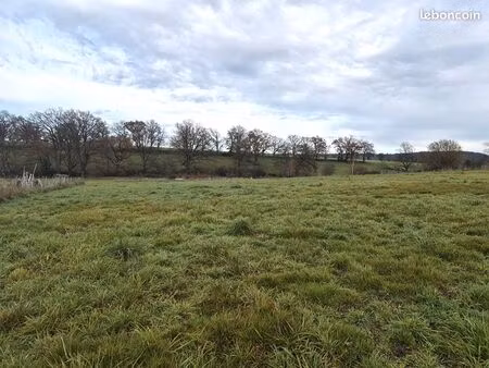 terrain 5339 m² saint victor