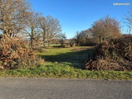 terrain à st palais 03