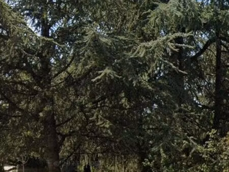 terrain de 530 m² - pernes les fontaines