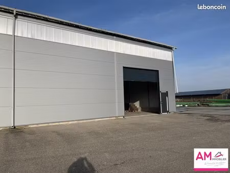 local 900 m² volgelsheim