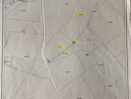 vigne syrah - lieu dit st vincent