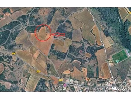 à vendre ou à prendre en fermage — parcelle de vigne grenache blanc – aoc saint-chinian – 