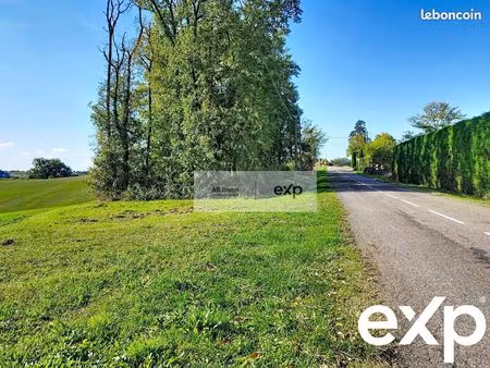 terrain 1279 m² molières