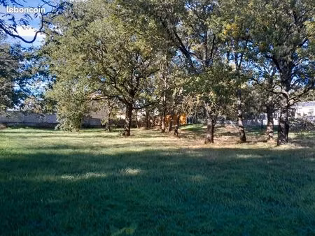 terrain constructible