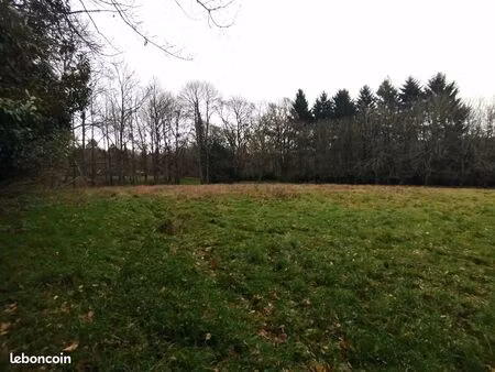 terrain 18400 m² saint-sauveur-des-landes