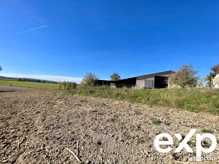 local 600 m² fénols