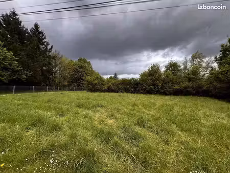 terrain 3787 m² seigy